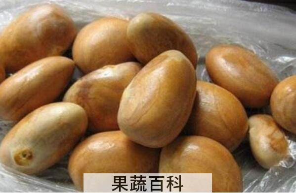 菠萝蜜的核能吃吗 菠萝蜜的核怎么吃好