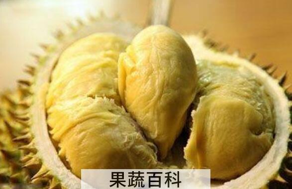 菠萝蜜和榴莲的区别