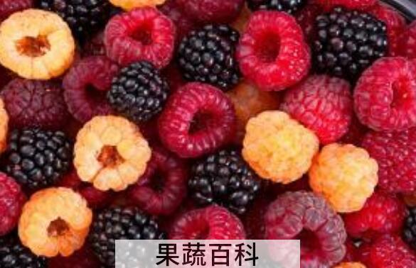 覆盆子干泡水喝的功效与禁忌