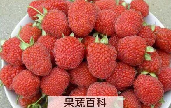 覆盆子干泡水喝的功效与禁忌
