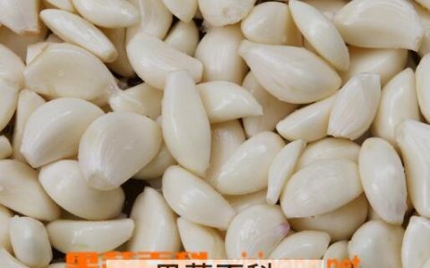 多吃哪些食物能降三高