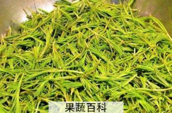 海蓬菜什么人不宜多吃 海蓬菜的禁忌