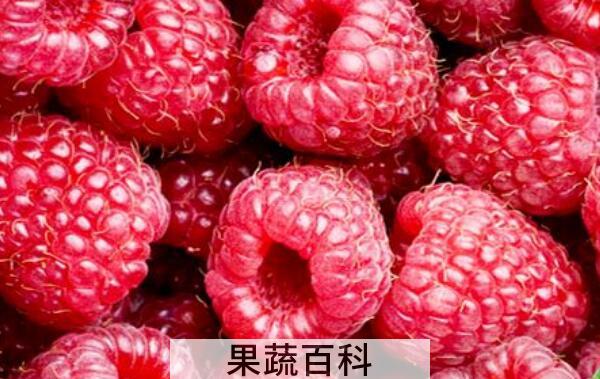 野生覆盆子的作用与功效