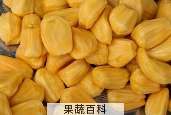 菠萝蜜怎么吃 菠萝蜜的食用方法