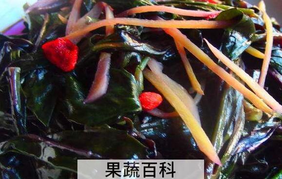 红凤菜怎么吃 红凤菜怎么做好吃