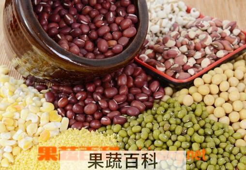 果蔬百科粗纤维的食物有哪些