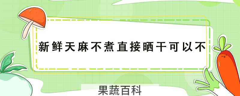 新鲜天麻不煮直接晒干可以不