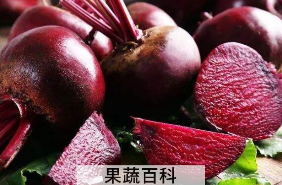 甜菜根的功效与作用 甜菜根的禁忌