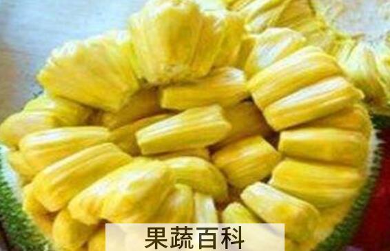 如何挑选菠萝蜜 菠萝蜜选购技巧教程