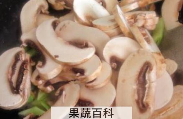 双孢菇怎么做好吃 双孢菇的做法教程