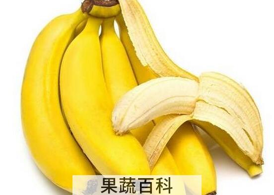 香蕉皮怎么吃才对 香蕉皮的食用方法