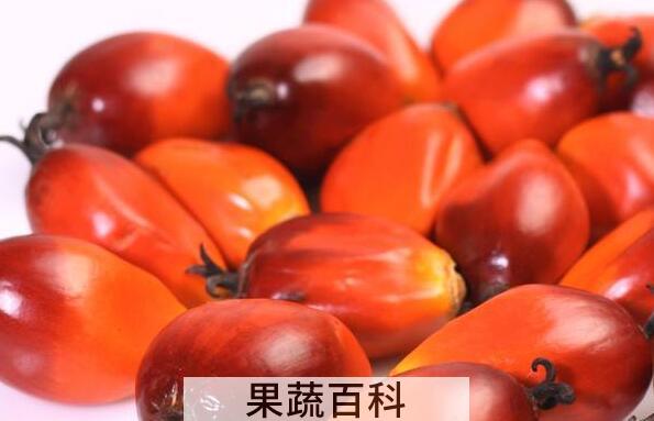 棕树果的功效与作用　棕树果怎么食用