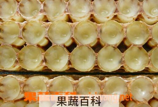 果蔬百科蜂王浆对肝脏的作用