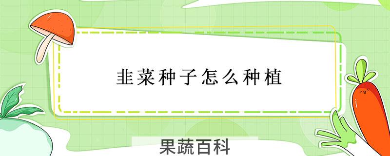 韭菜种子怎么种植