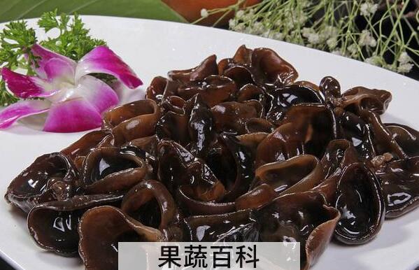 木耳菌怎么吃 木耳菌的食用方法