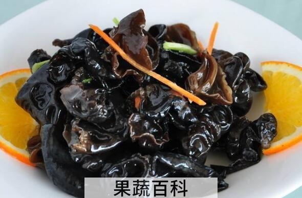 木耳菌怎么吃 木耳菌的食用方法