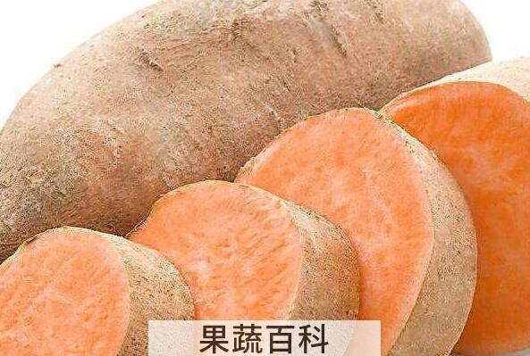 红薯酒的功效与作用 红薯酒有什么害处