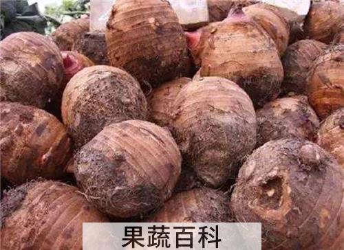 香芋