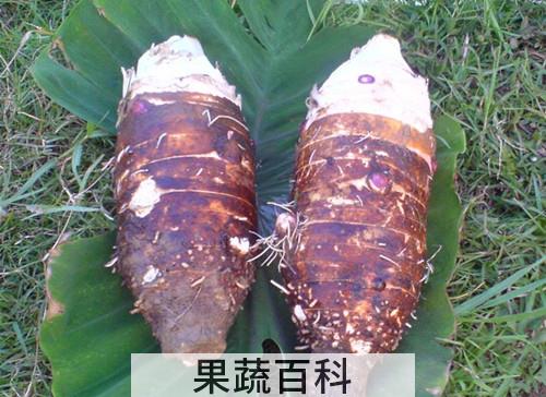 香芋
