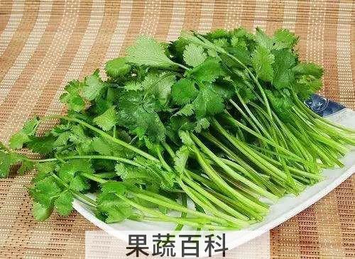 香菜