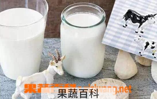 果蔬百科喝羊奶的坏处