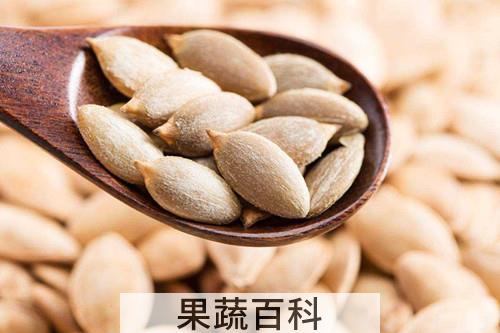 南瓜子