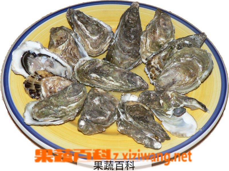 果蔬百科牡蛎的功效