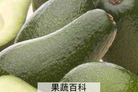 牛油果怎么榨油 牛油果油的功效与作用
