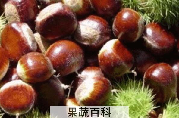 生板栗怎么保存不坏 生板栗正确保存方法