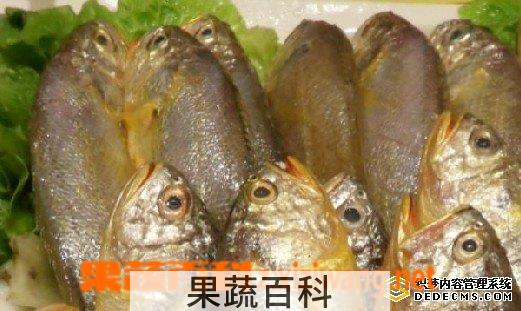 果蔬百科小黄花鱼的家常做法