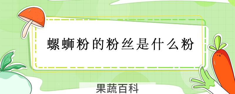 螺蛳粉的粉丝是什么粉