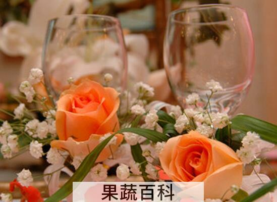 果蔬百科酒杯花的药用价值与功效