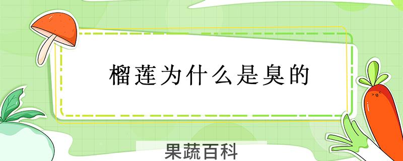 榴莲为什么是臭的
