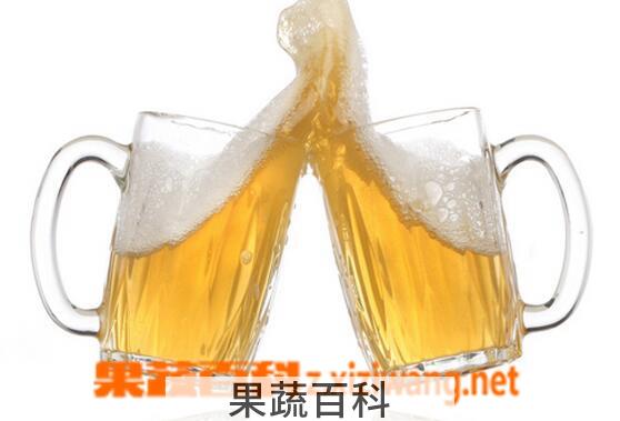 果蔬百科喝啤酒的禁忌