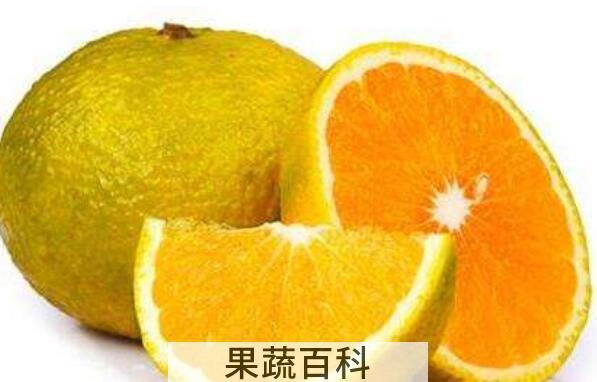 橘柚的功效与作用 橘柚的营养价值