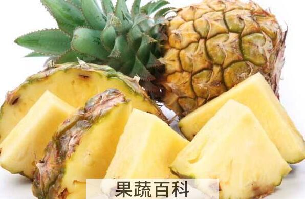 凤梨和菠萝的区别 吃凤梨的好处