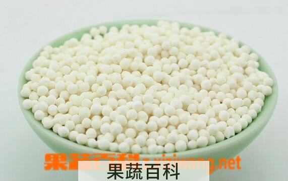 果蔬百科皮肤过敏能吃西米吗
