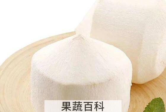 椰青的功效与作用及禁忌