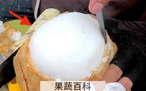 椰肉有什么营养 椰肉怎么做好吃