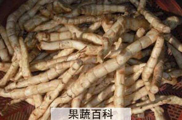 地笋的功效与作用 地笋的食用方法