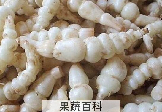 地笋的功效与作用 地笋的食用方法