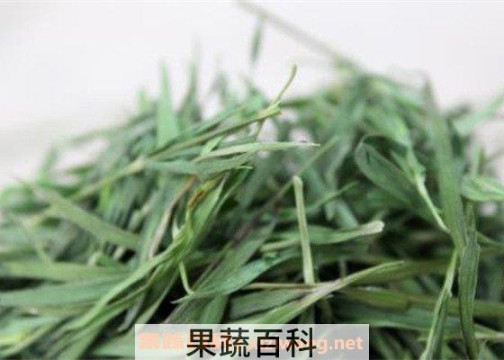 淡竹叶茶