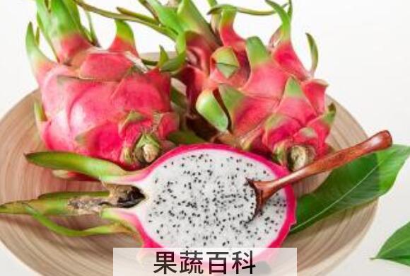 火龙果的功效与作用 吃火龙果的禁忌