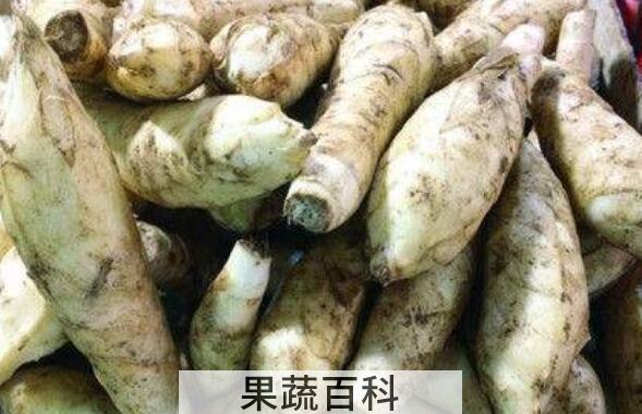竹芋粉的功效与作用