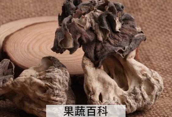 巴楚蘑菇的功效和作用