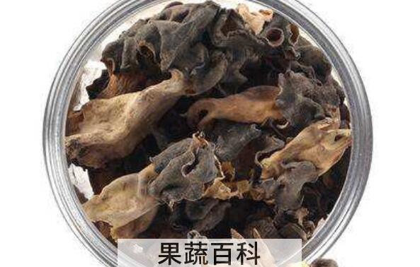 巴楚蘑菇的功效和作用