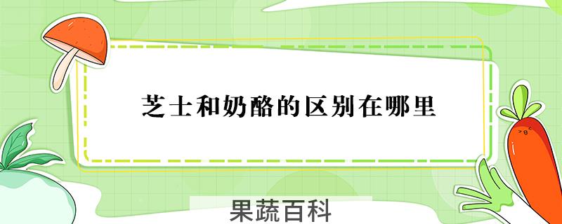 芝士和奶酪的区别在哪里