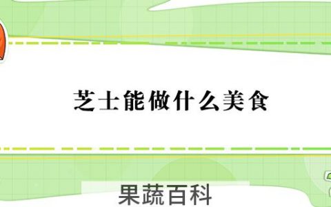 芝士能做什么美食