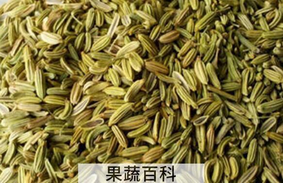 大茴香籽和小茴香籽的区别