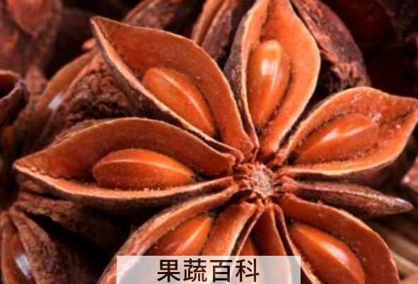 大茴香籽和小茴香籽的区别